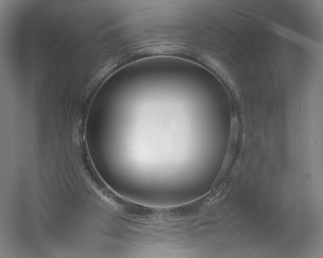 X0000054390105200508121643