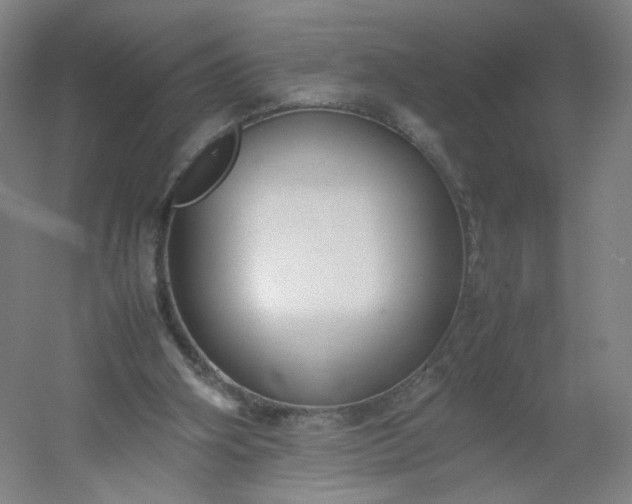 X0000054390106200508121643