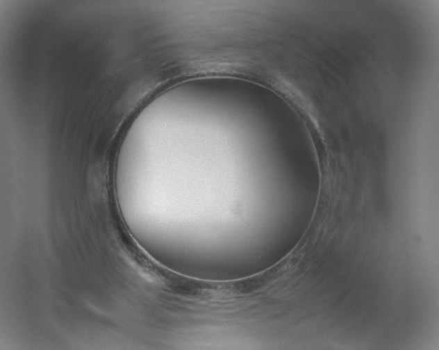 X0000054390107200508121643