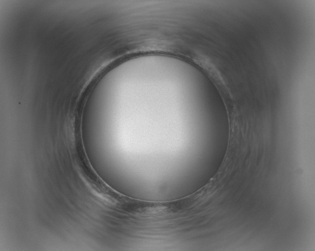 X0000054390108200508121643