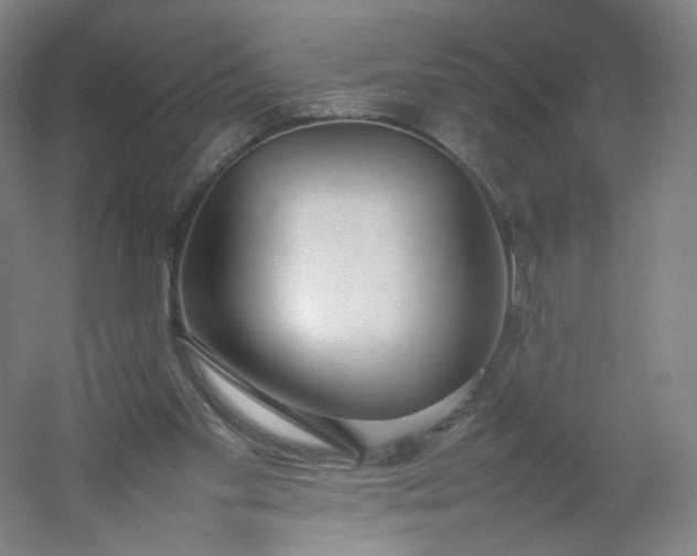 X0000054390109200508121643