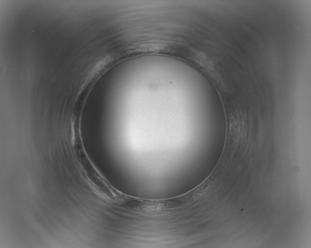 X0000054390110200508121643