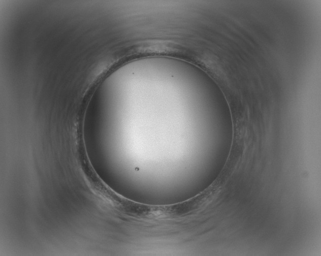 X0000054390111200508121643