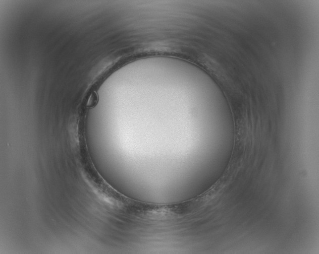 X0000054390112200508121643