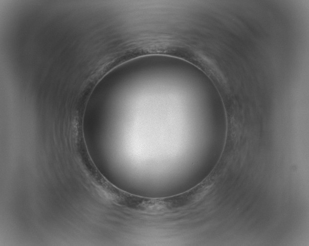 X0000054390113200508121643