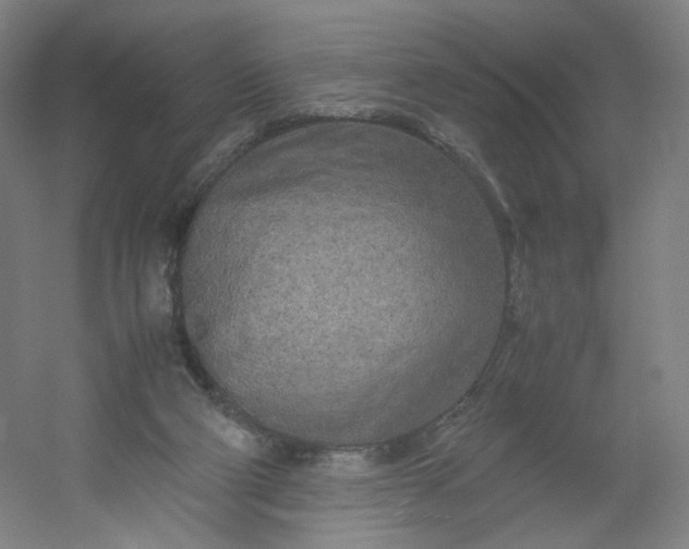 X0000054390114200508121643