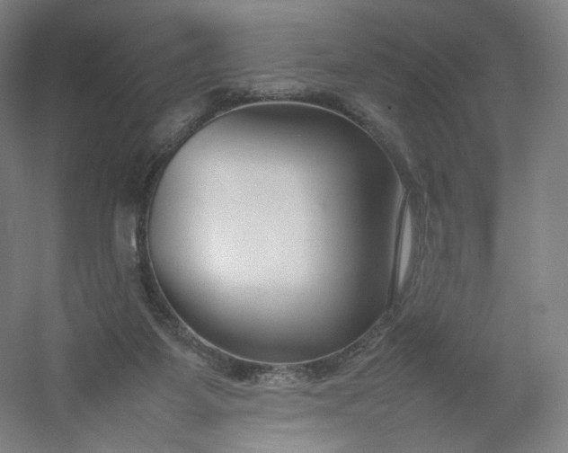 X0000054390115200508121643