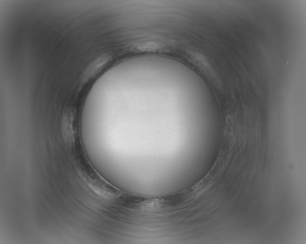 X0000054390116200508121643