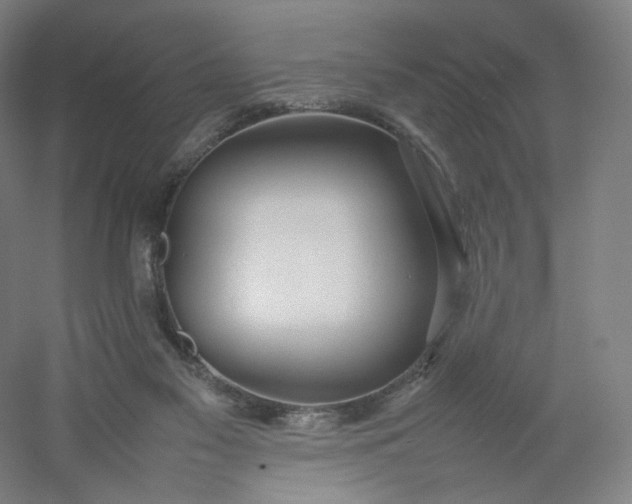 X0000054390117200508121643