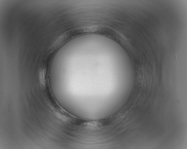 X0000054390118200508121643