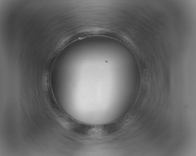 X0000054390119200508121643