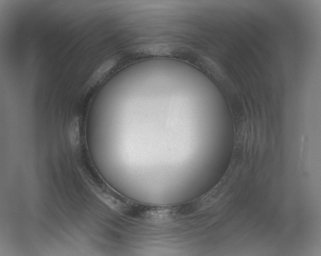 X0000054390120200508121643