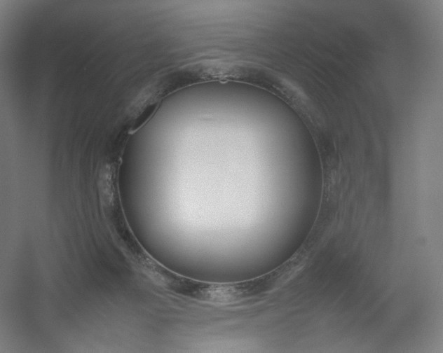 X0000054390121200508121643