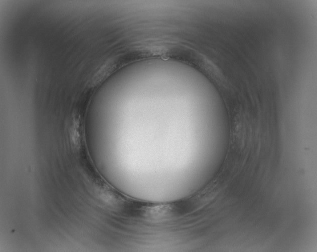 X0000054390122200508121643