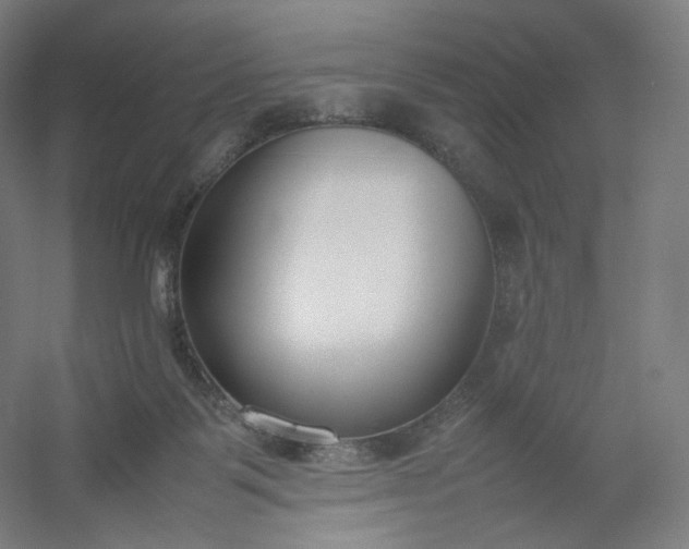 X0000054390123200508121643