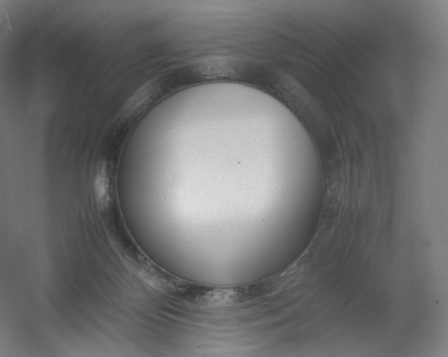 X0000054390124200508121643