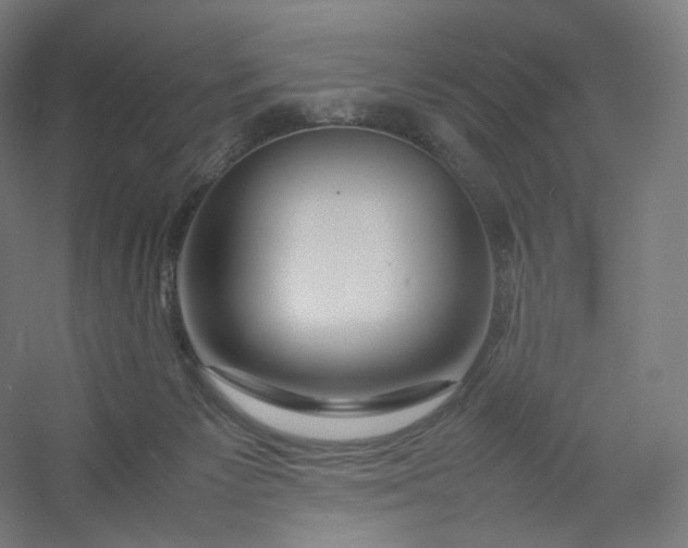 X0000054390125200508121643