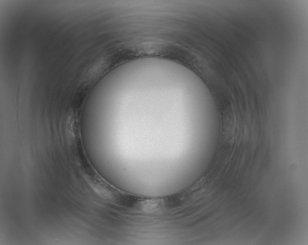 X0000054390126200508121643