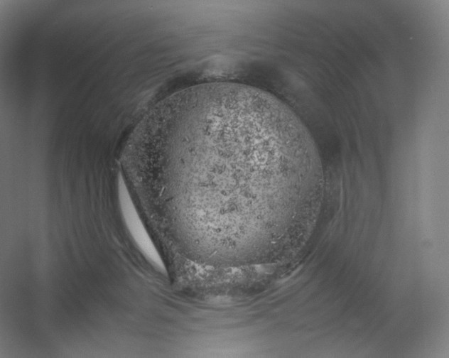 X0000054390127200508121643