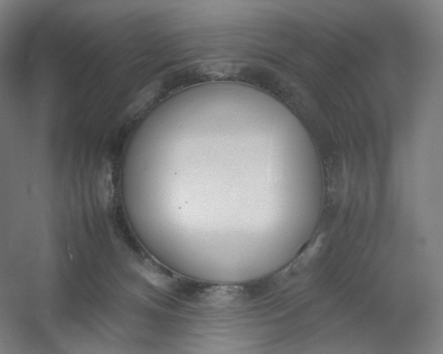 X0000054390128200508121643