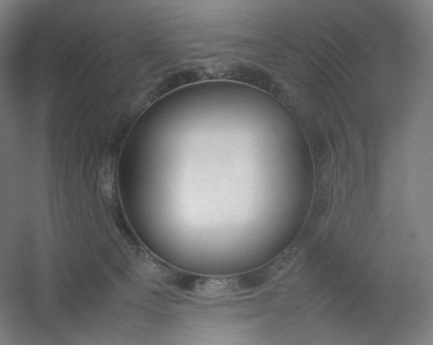 X0000054390129200508121643