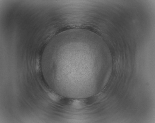 X0000054390130200508121643