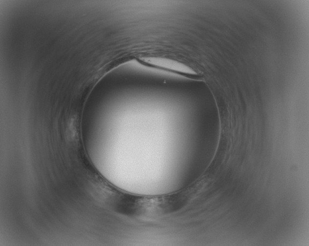 X0000054390131200508121643