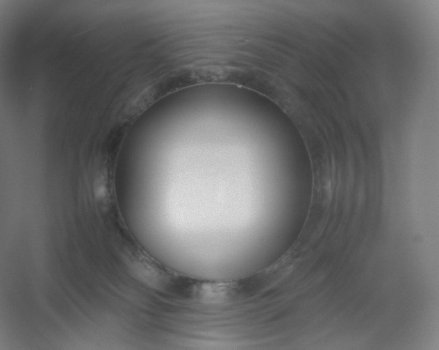 X0000054390134200508121643