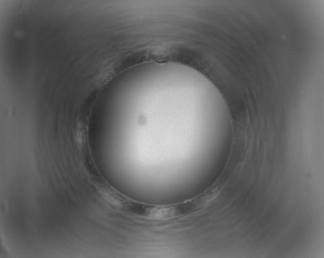 X0000054390135200508121643