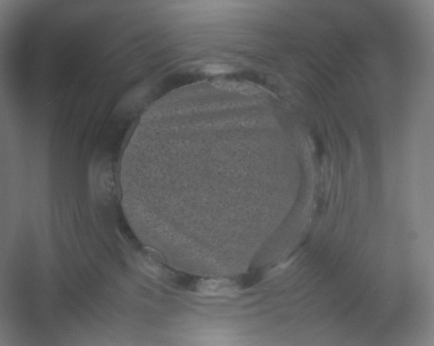 X0000054390137200508121643