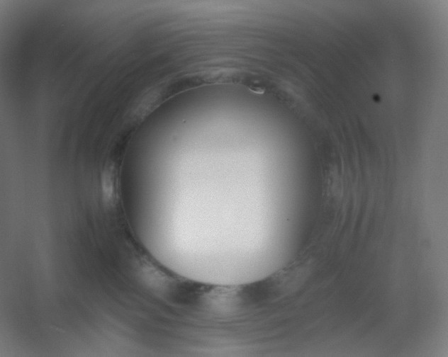 X0000054390138200508121642