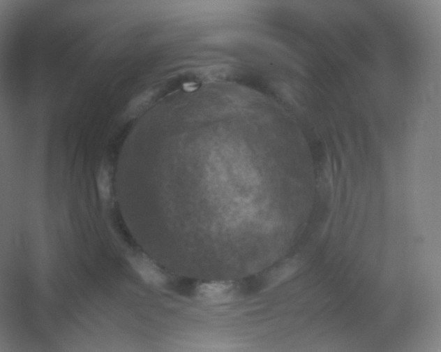 X0000054390139200508121642