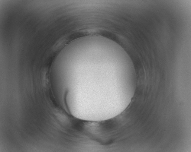 X0000054390140200508121642