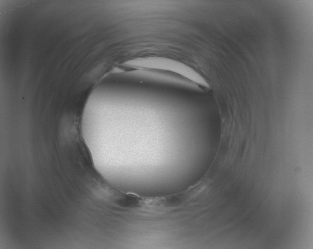 X0000054390141200508121642