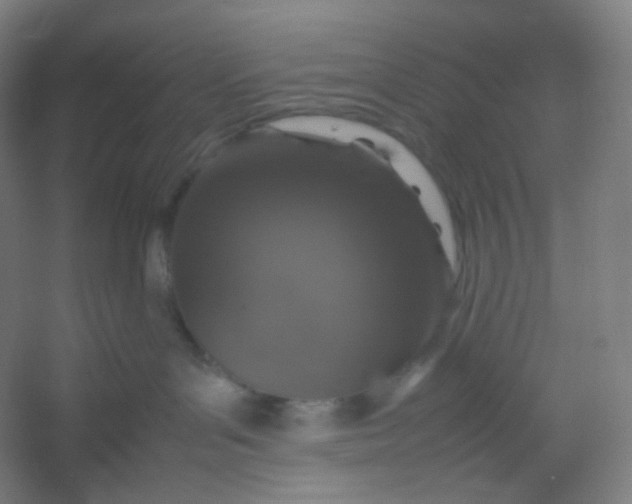 X0000054390143200508121642