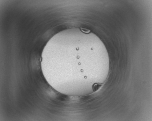 X0000054390144200508121642