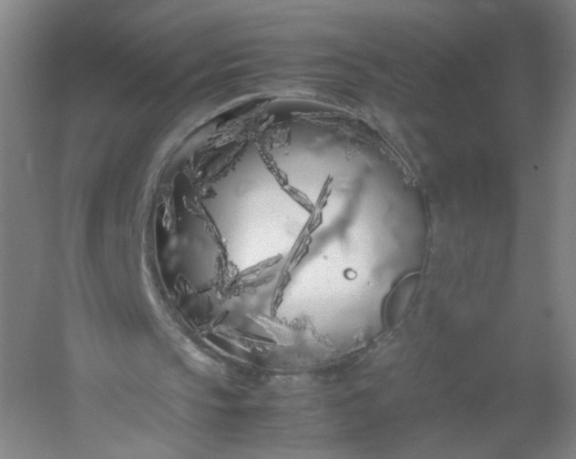 X0000054390145200508121642