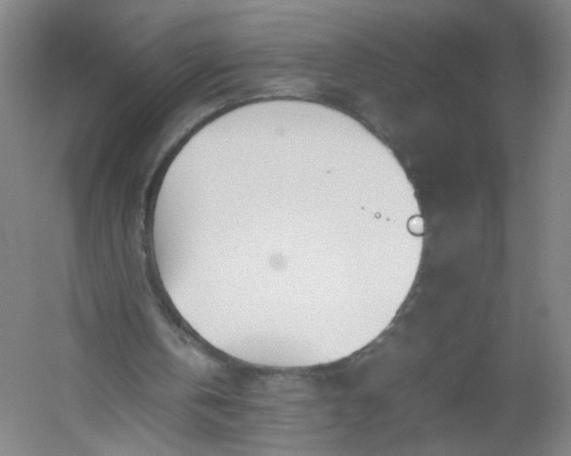 X0000054390146200508121642