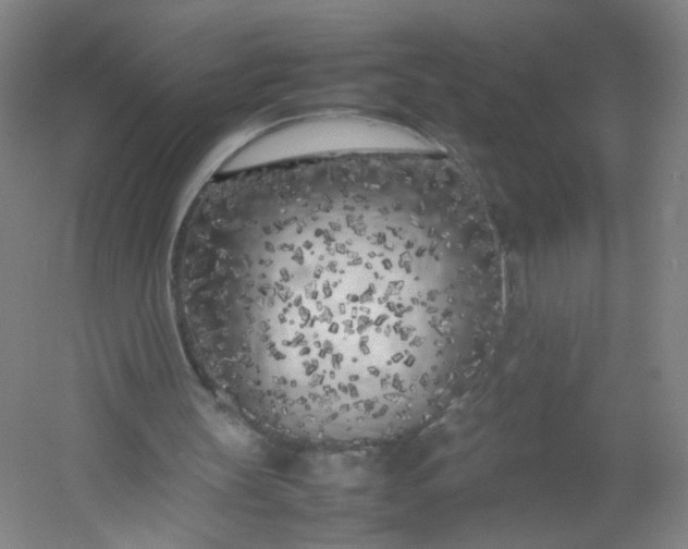 X0000054390147200508121642