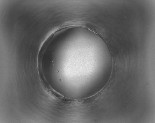 X0000054390148200508121642