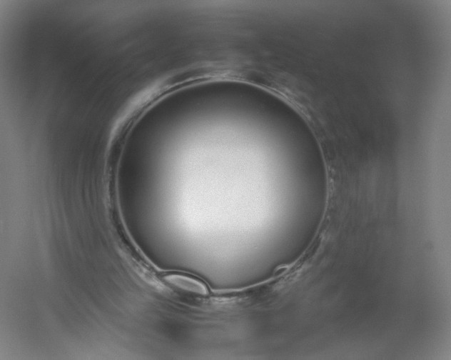 X0000054390149200508121642