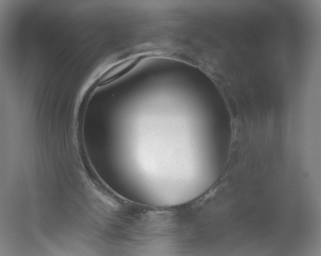 X0000054390150200508121642