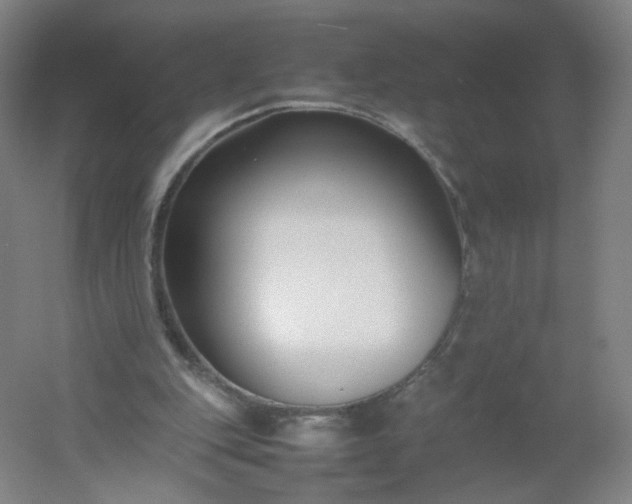 X0000054390151200508121642