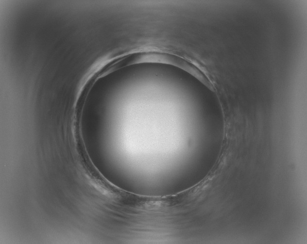 X0000054390152200508121642