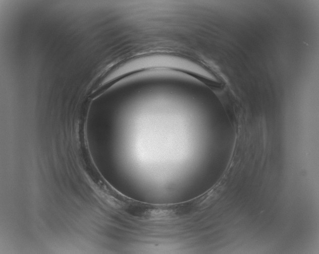 X0000054390154200508121642