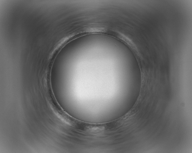 X0000054390155200508121642