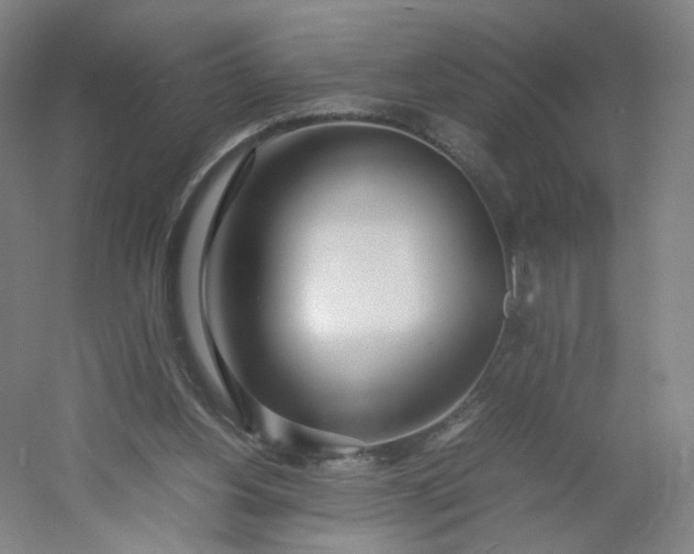 X0000054390156200508121642