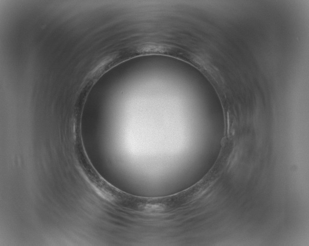 X0000054390157200508121642