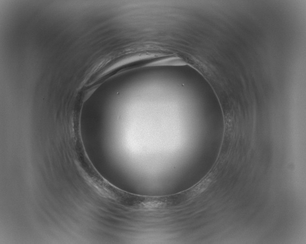 X0000054390158200508121642