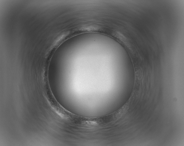 X0000054390159200508121642